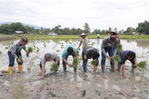 Tekan Inflasi di Aceh Besar: Pj Bupati Bersama Danlanud SIM Tanam Padi Bersama