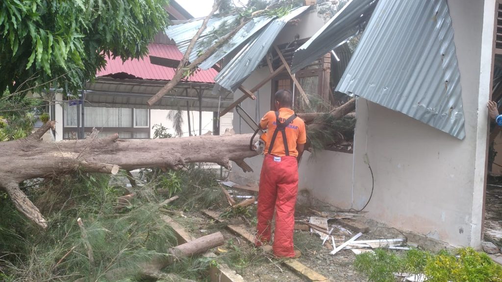 Beberapa Pohon Tumbang di Aceh Besar, Begini Dampaknya
