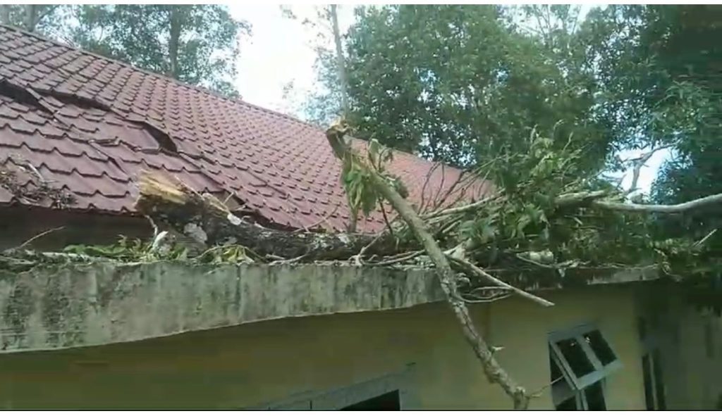 Pohon Tumbang, Kantor PWI Aceh Besar Rusak Parah