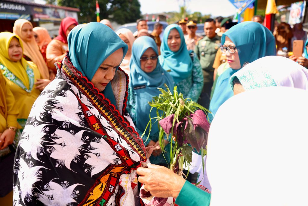 Pj Ketua PKK Aceh Kunjungi Bener Meriah untuk Pembinaan Gammawar dan Penurunan Stunting
