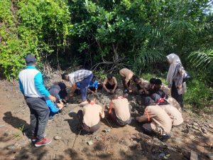 Edukasi dan Penanaman Mangrove Rayakan Hari Mangrove Sedunia di Aceh Jaya