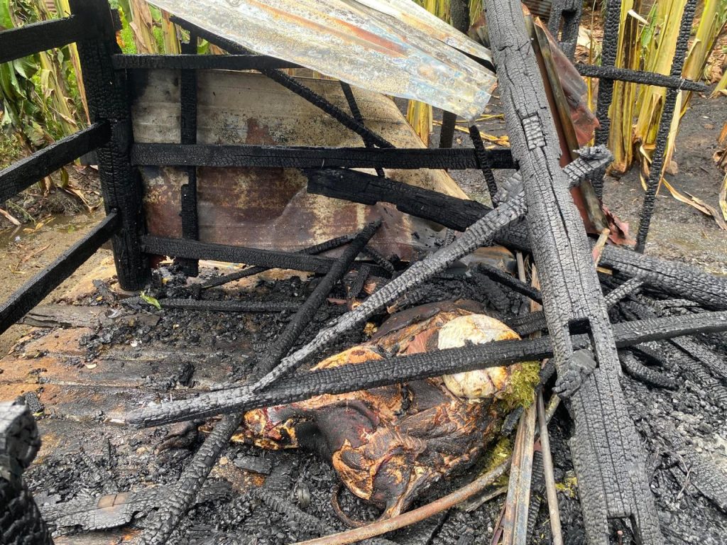 Kebakaran di Siron Aceh Besar, Sapi dan Usaha Perabotan Ludes 