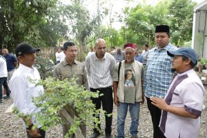Ketua DPRK Banda Aceh: Bonsai Punya Nilai Ekonomis