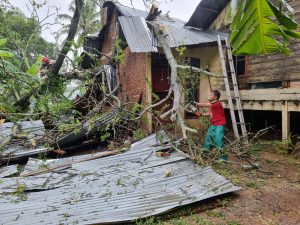 Hujan dan Angin Kencang Tumbangkan Pohon Pada Sejumlah Lokasi di Aceh Besar 
