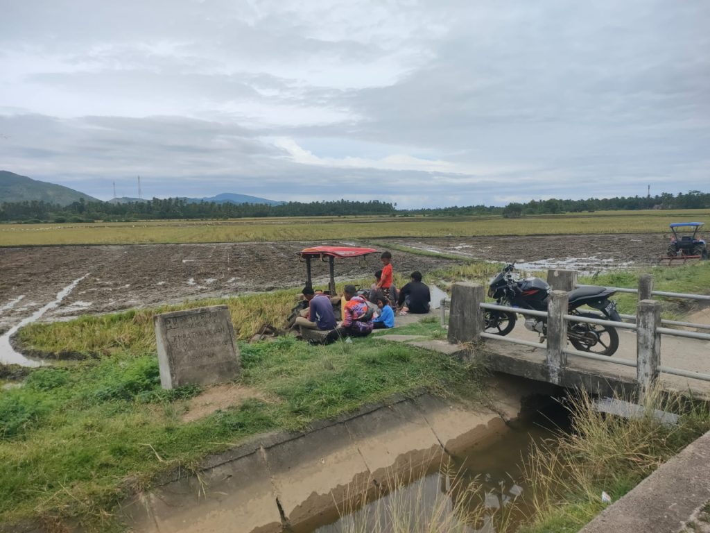 Petani Simpang Tiga Mulai Tahapan Tanam Rendeng Tahun 2024