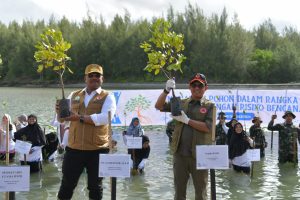 Pj Gubernur Safrizal bersama Kepala BNPB Tanam Mangrove di Kuala Cangkoi