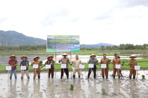 Pj Bupati Iswanto Bersama Forkopimda Tanam Padi Perdana di Simpang Tiga