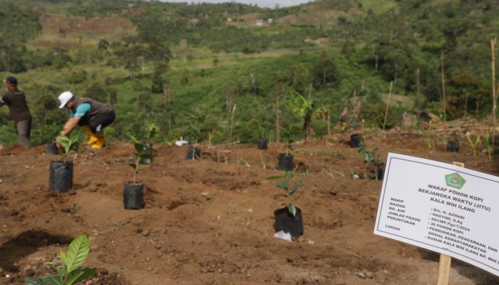 ASN Kemenag di Aceh Sudah Tanam 13.677 Pohon Produktif