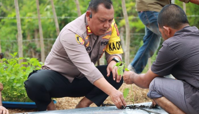 Dukung Program Asta Cita Bidang Ketahanan Pangan, Kapolres Aceh Besar melaksanakan Penanaman Cabe