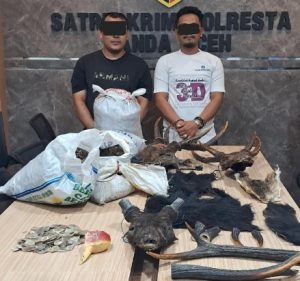 Ungkap Perdagangan Satwa Liar, Polisi Amankan Dua Pelaku di Aceh Besar