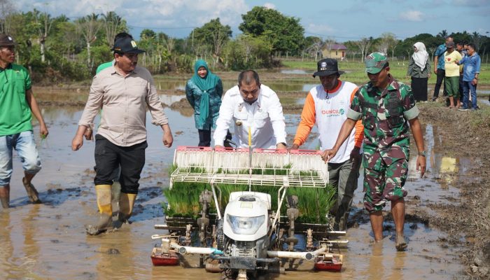 Pj Bupati Tanam Padi dengan Rice Transplanter di Gampong Bueng