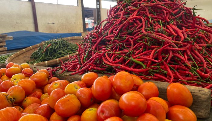 Kadiskopukmdag Aceh Besar: Awal Tahun 2025, Harga Bako di Pasar Tradisional Lambaro Masih Stabil