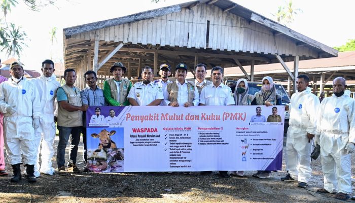Antisipasi PMK, Pemkab Aceh Besar Semprot Desinfektan Ternak di Pasar Hewan Sibreh