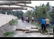BPBD Aceh Besar Sigap Tangani Laporan Masyarakat