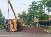 Truk Terguling di Simpang Dodik, Muatan Sawit Brondol Tumpah Ruah ke Jalan