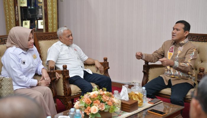 Wakil Gubernur Minta Pengurus Kadin Aceh Dukung Perpanjangan Dana Otsus