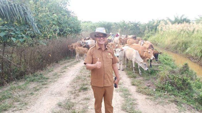18.149 Ekor Sapi Disiapkan untuk Kebutuhan Meugang Idul Fitri 2025