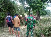 BPBD Aceh Besar Gerak Cepat Lakukan Penanganan Pohon Tumbang di Kuta Cot Glie