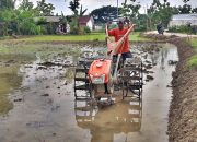 Aceh Besar Mulai Garap Tanam Gadu untuk Wujudkan Lumbung Pangan Nasional