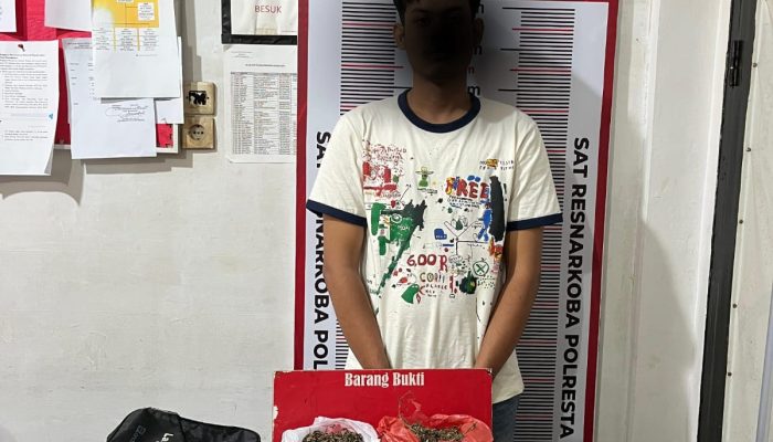 Satresnarkoba Polresta Banda Aceh Amankan 3,7 Kg Ganja dan Tersangka