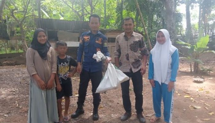 Respons Cepat BPBD Aceh Besar Evakuasi Ular Piton di Lhoong
