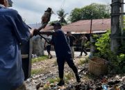 Dukung Program Bupati, DLH Aceh Besar bersama Pegawai Kecamatan dan Petugas Pasar Lambaro Angan Bersihkan Tumpukan Sampah Ilegal
