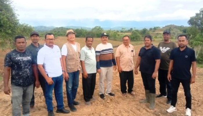 Aceh Besar Siapkan 200 Hektare Lahan Jagung di Kuta Cot Glie