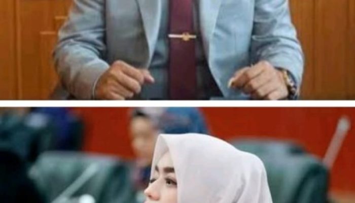 Fraksi NasDem Desak Pemerintah Aceh Rebut Kembali Empat Pulau yang Dialihkan ke Sumut