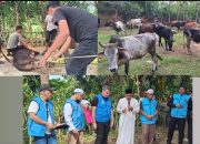 Turki Salurkan 150 Ekor Hewan Kurban untuk Warga Aceh