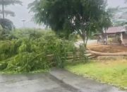 BPBD Imbau Warga Aceh Besar Waspadai Cuaca Ekstrem