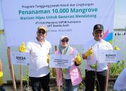 Pemkab Aceh Besar Dukung Penanaman 10 Ribu Mangrove oleh PLN di Baitussalam