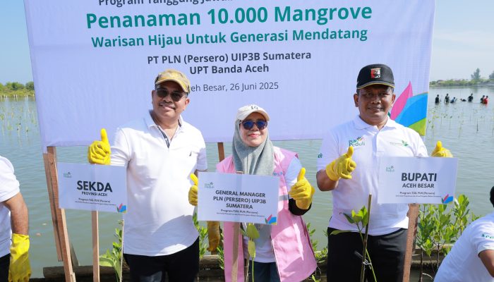 Pemkab Aceh Besar Dukung Penanaman 10 Ribu Mangrove oleh PLN di Baitussalam