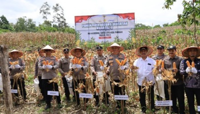 Wakapolda Aceh Panen Raya Jagung Serentak Kuartal II