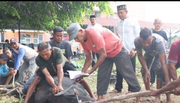 Polresta Banda Aceh Sembelih Hewan Kurban, Dibagikan Kepada Yang Berhak