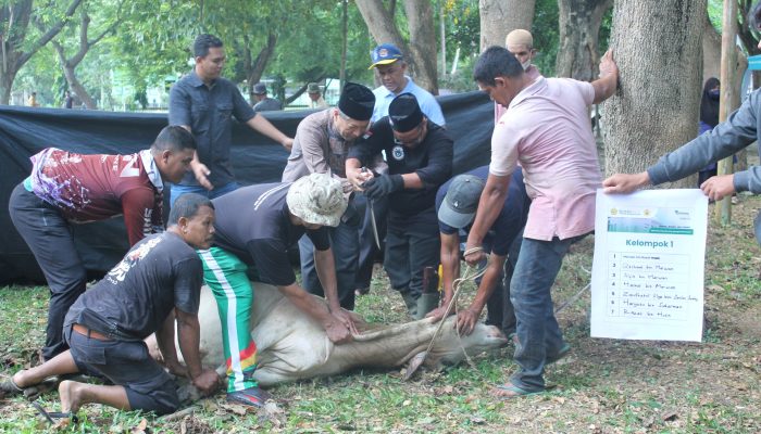 Green Qurban 1446 H: Rumah Amal USK Salurkan 880 Paket Daging ke Warga