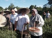 Sekda Aceh Besar Panen Raya Program Ketahanan Pangan Rutan Kelas IIB Kota Jantho