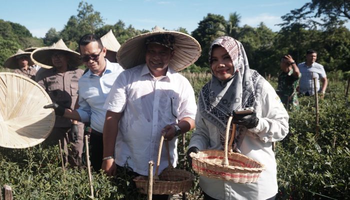 Sekda Aceh Besar Panen Raya Program Ketahanan Pangan Rutan Kelas IIB Kota Jantho