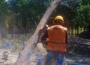 Angin Kencang Terjang Aceh Besar, 23 Rumah Warga Terdampak