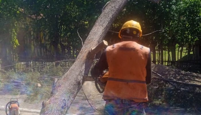 Angin Kencang Terjang Aceh Besar, 23 Rumah Warga Terdampak