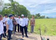 Bupati Aceh Besar Tinjau Sawah Blang Tamak Tungkop