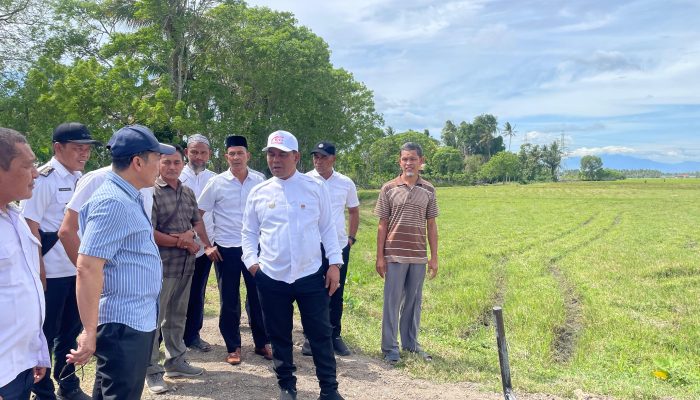 Bupati Aceh Besar Tinjau Sawah Blang Tamak Tungkop