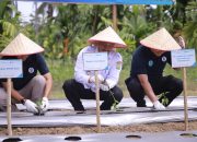 Wabup Aceh Besar Hadiri Launching Berdikari Tani BNNP dan Bank Indonesia Perwakilan Aceh