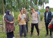 PN Suka Makmue Lakukan Konstatering Tanah Sengketa di Nagan Raya