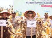 Kapolda Aceh Panen 24,5 Ton Jagung pada Kuartal III di Aceh Jaya