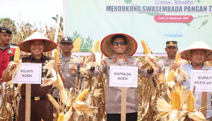Kapolda Aceh Panen 24,5 Ton Jagung pada Kuartal III di Aceh Jaya
