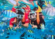 Rubiah, Surga Bawah Laut yang Tak Pernah Kehilangan Pesonanya