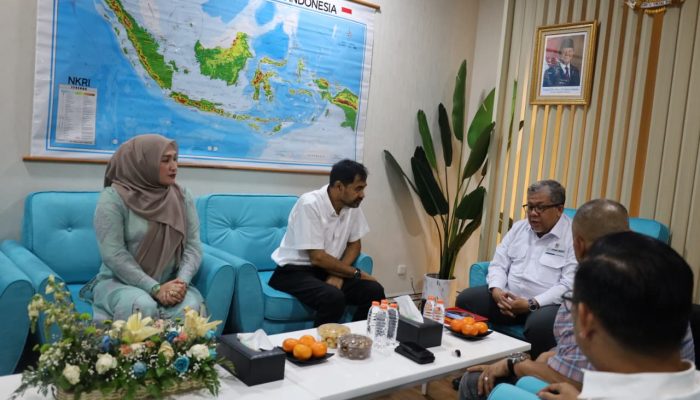 Mualem Temui Wamen Perkim, Usulkan Inpres Rumah untuk Mantan Kombatan GAM