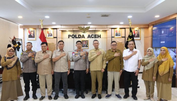 Kapolda Terima Audiensi Kepala BBPOM Aceh, Bahas Sinergi dalam Mengawal Obat dan Makanan