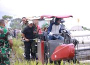Bupati Muharram Idris Panen Padi Bersama Kementan RI di Terbeh Jantho