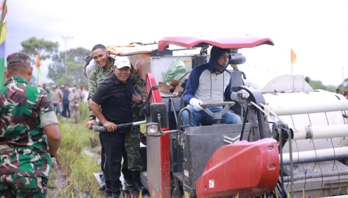 Bupati Muharram Idris Panen Padi Bersama Kementan RI di Terbeh Jantho